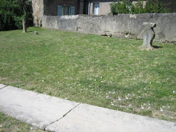 D'anciennes tombes dans le jardin de l'église, ancien cimetière (JPG)