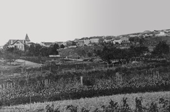 Chaligny et son coteau sud recouvert de vignes (JPG)